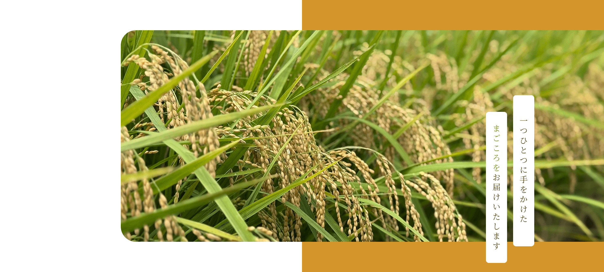 一つひとつに手をかけた、まごころをお届けいたします