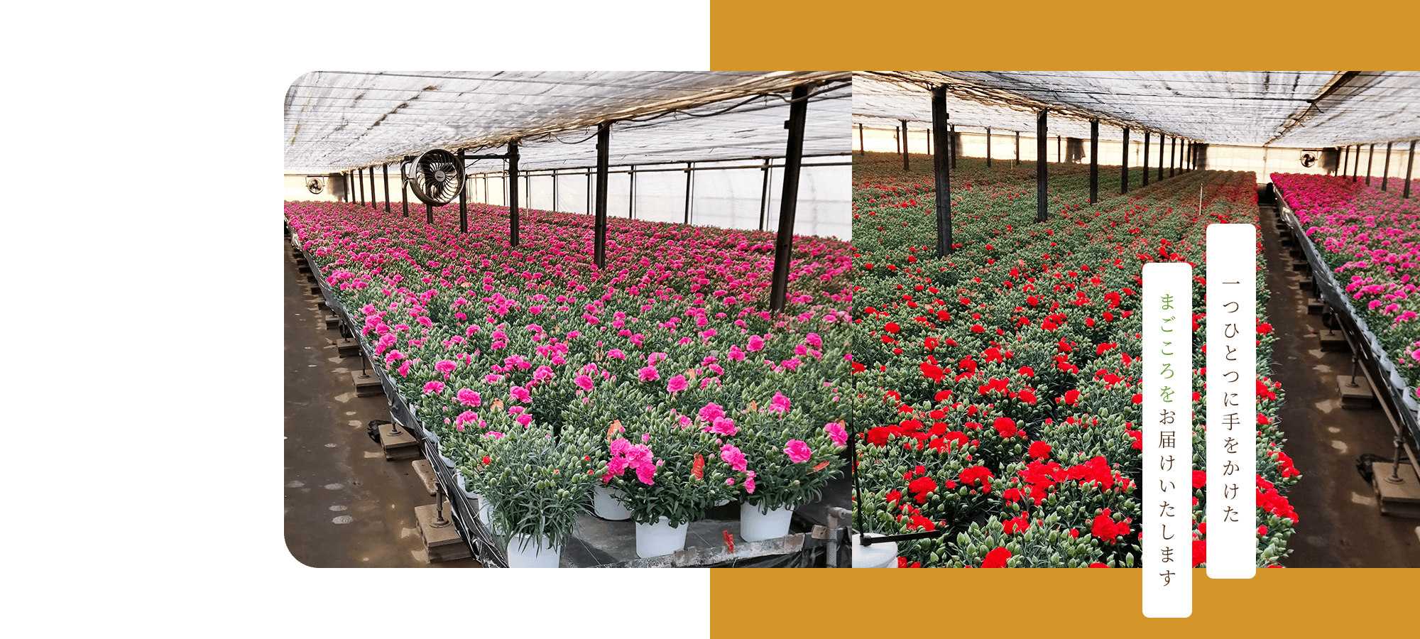 一つひとつに手をかけた、まごころをお届けいたします